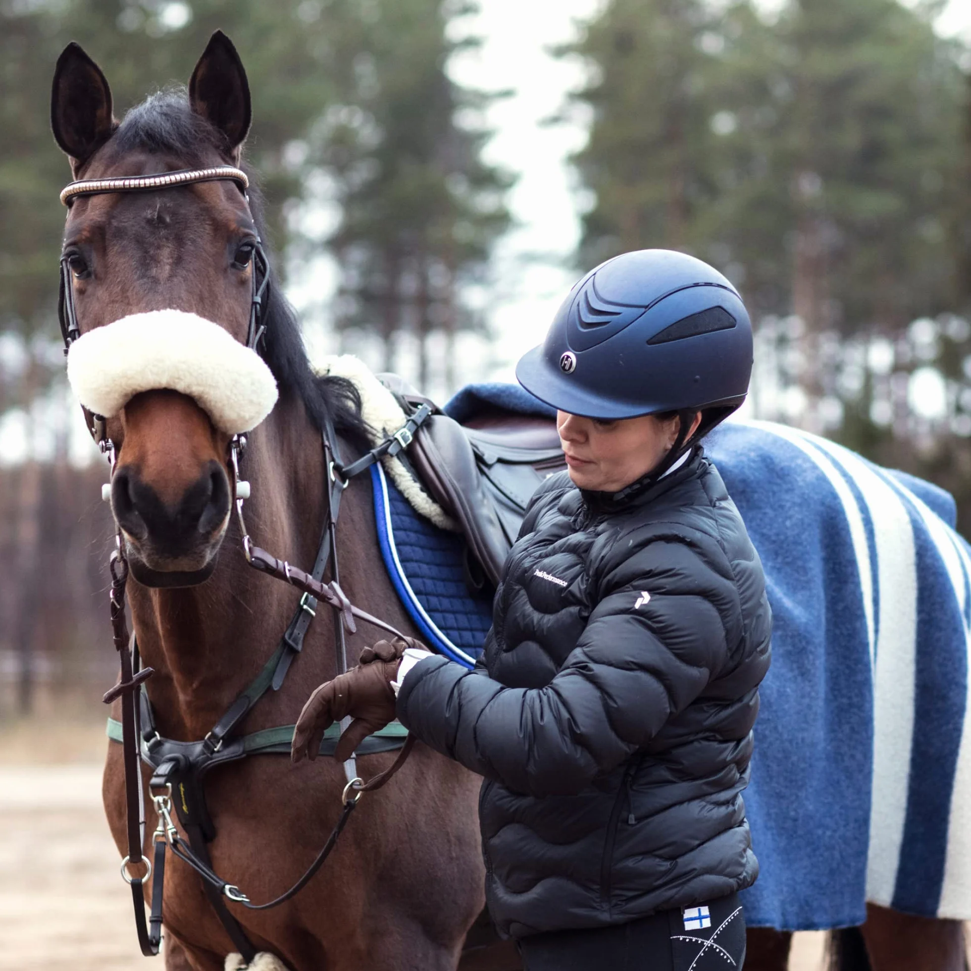 Polar Equine Healthcheck