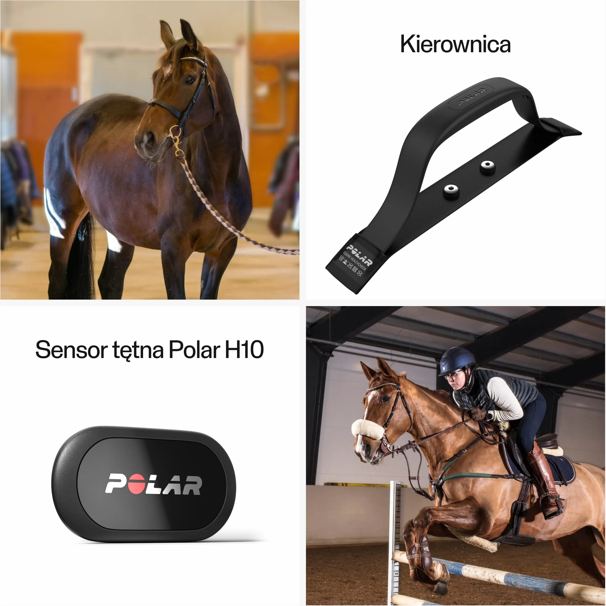 Polar Equine Healthcheck