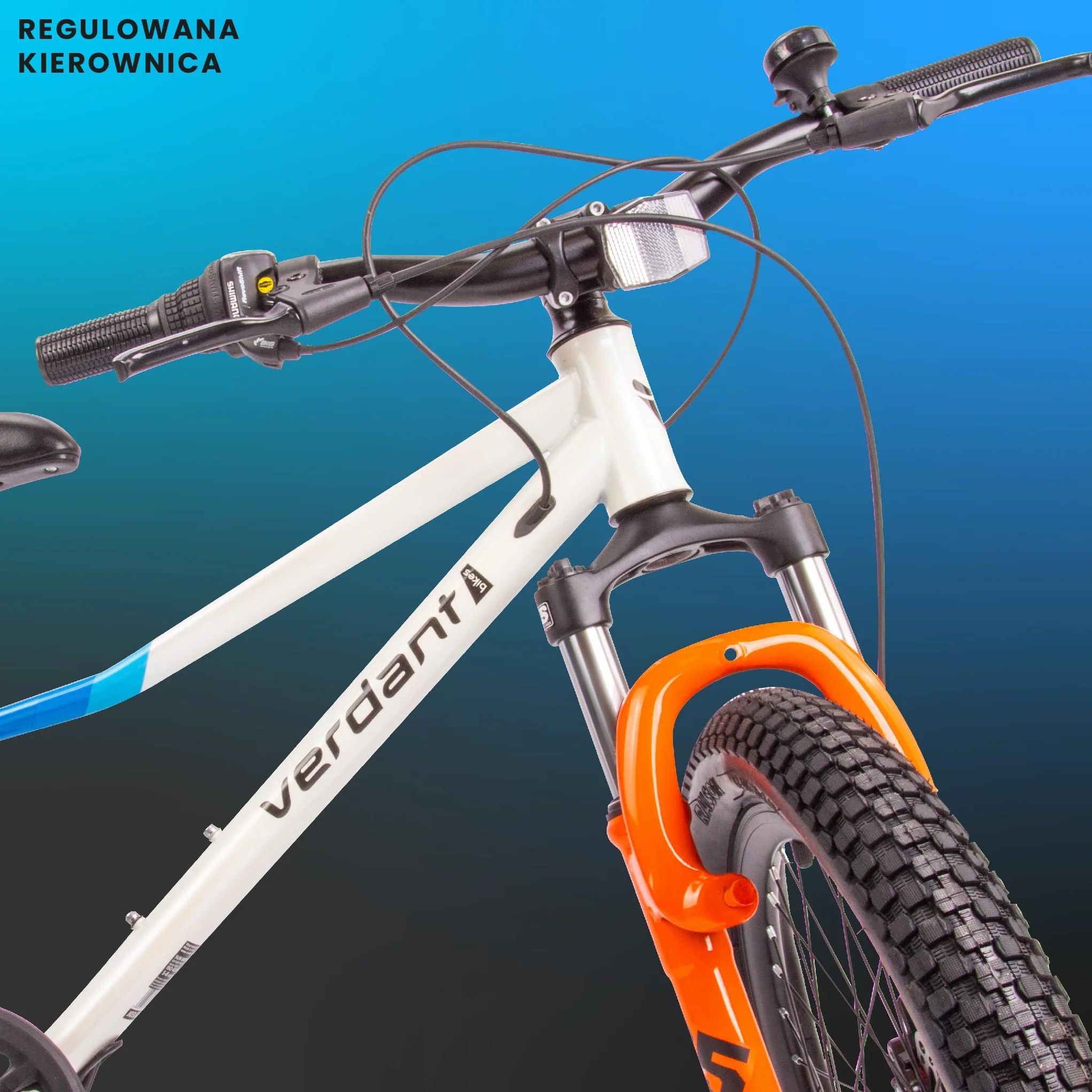 Rower chłopięcy Verdant Bike 20 24 cale, przerzutka Shimano Tourney TY21, lekki, rama stalowa, wolnobieg rzędowy ATA