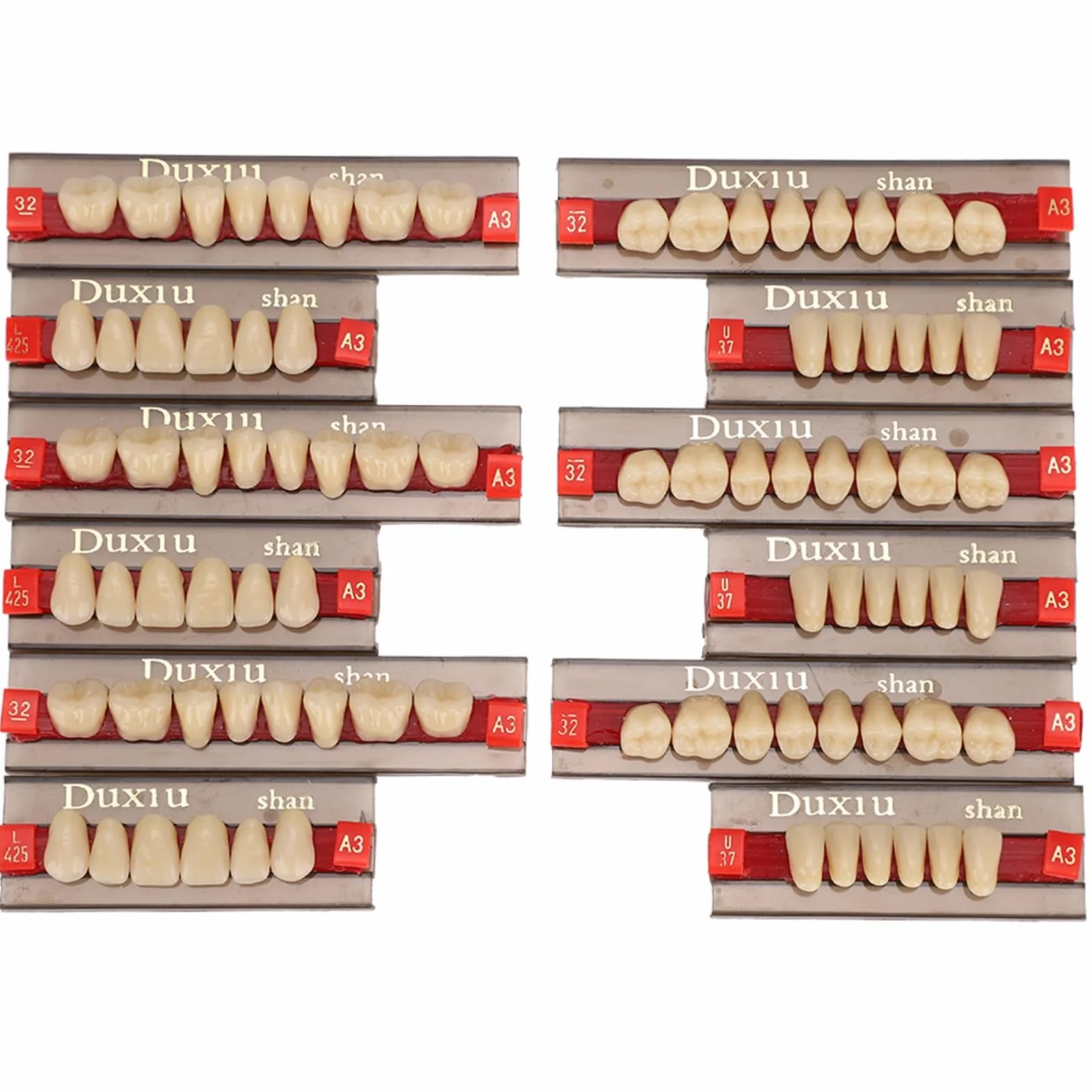12 sztuk sztuczne zęby żywica proteza materiał dentystyczny żywica syntetyczna fałszywe zęby do wymiany DIY Halloween Artykuły dentystyczne