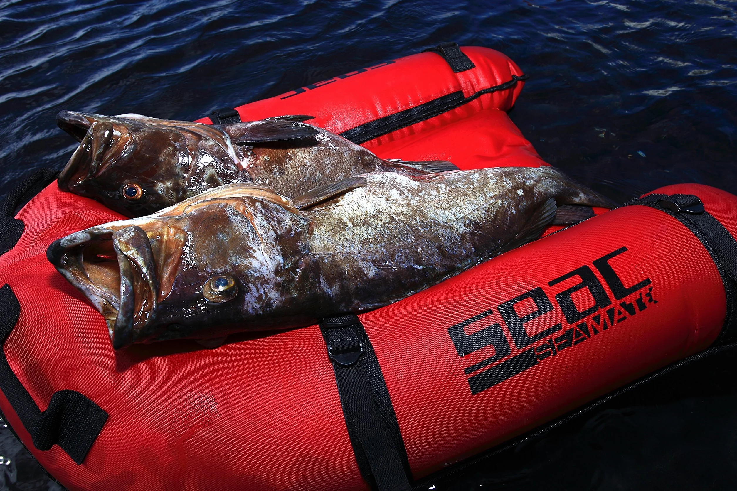 Seac Sea Mate, Nadmuchiwany ponton