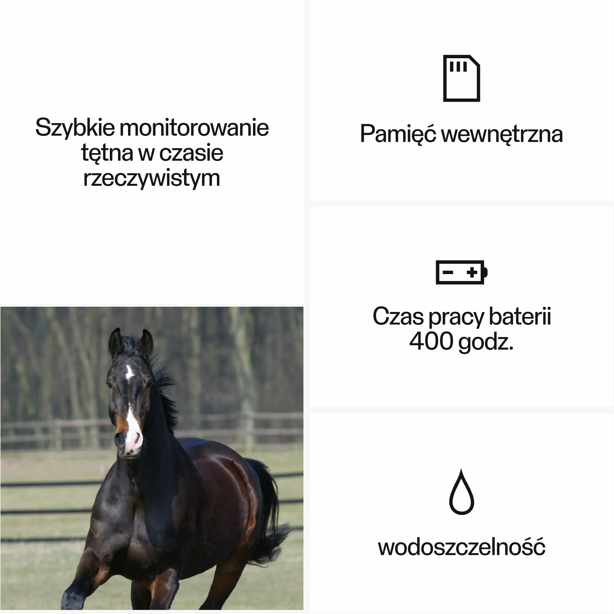 Polar Equine Healthcheck