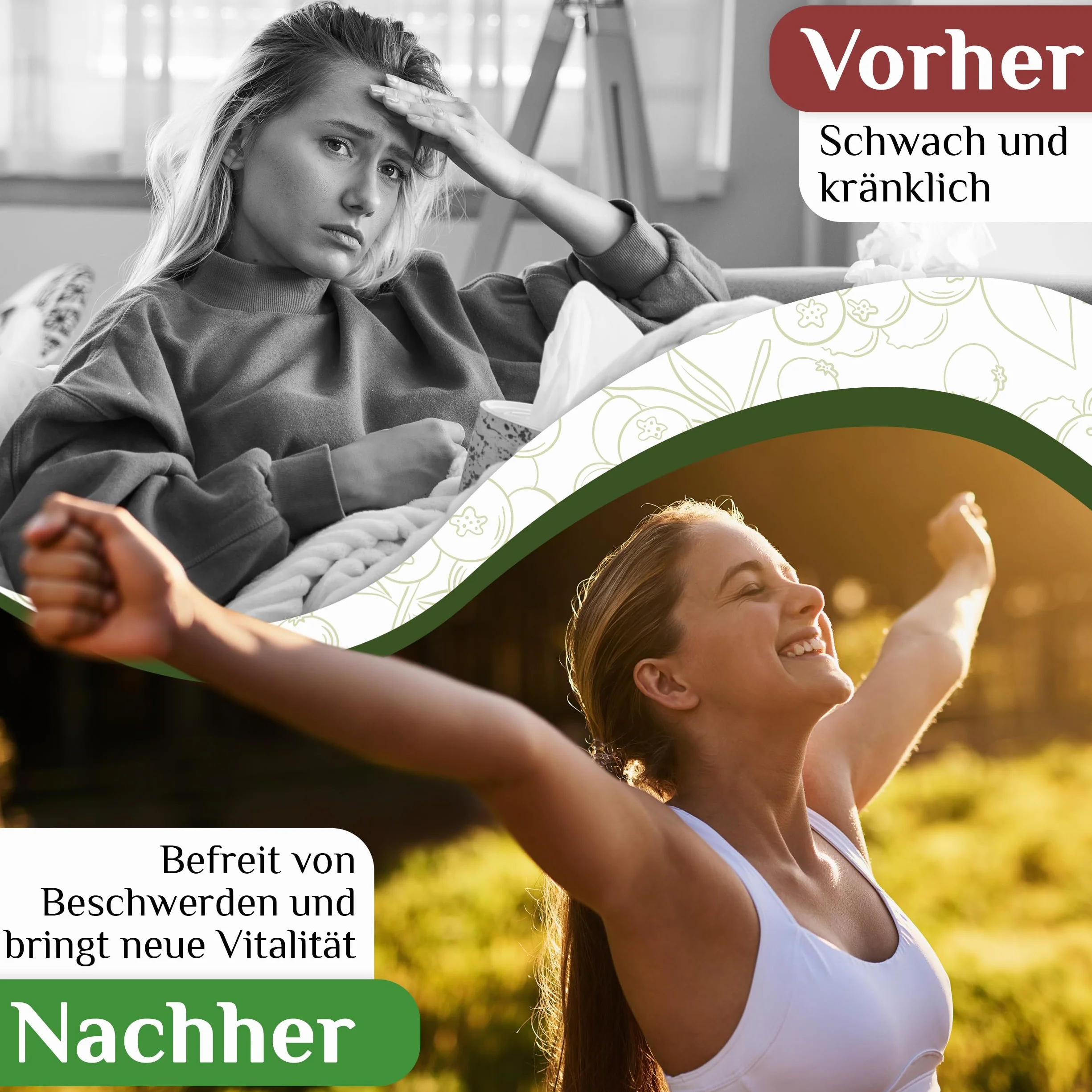 Skoncentrowany ekstrakt z pąków – gemoterapia – Ribes nigrum – czarna porzeczka – alergia, energia, immunoster – 15 ml