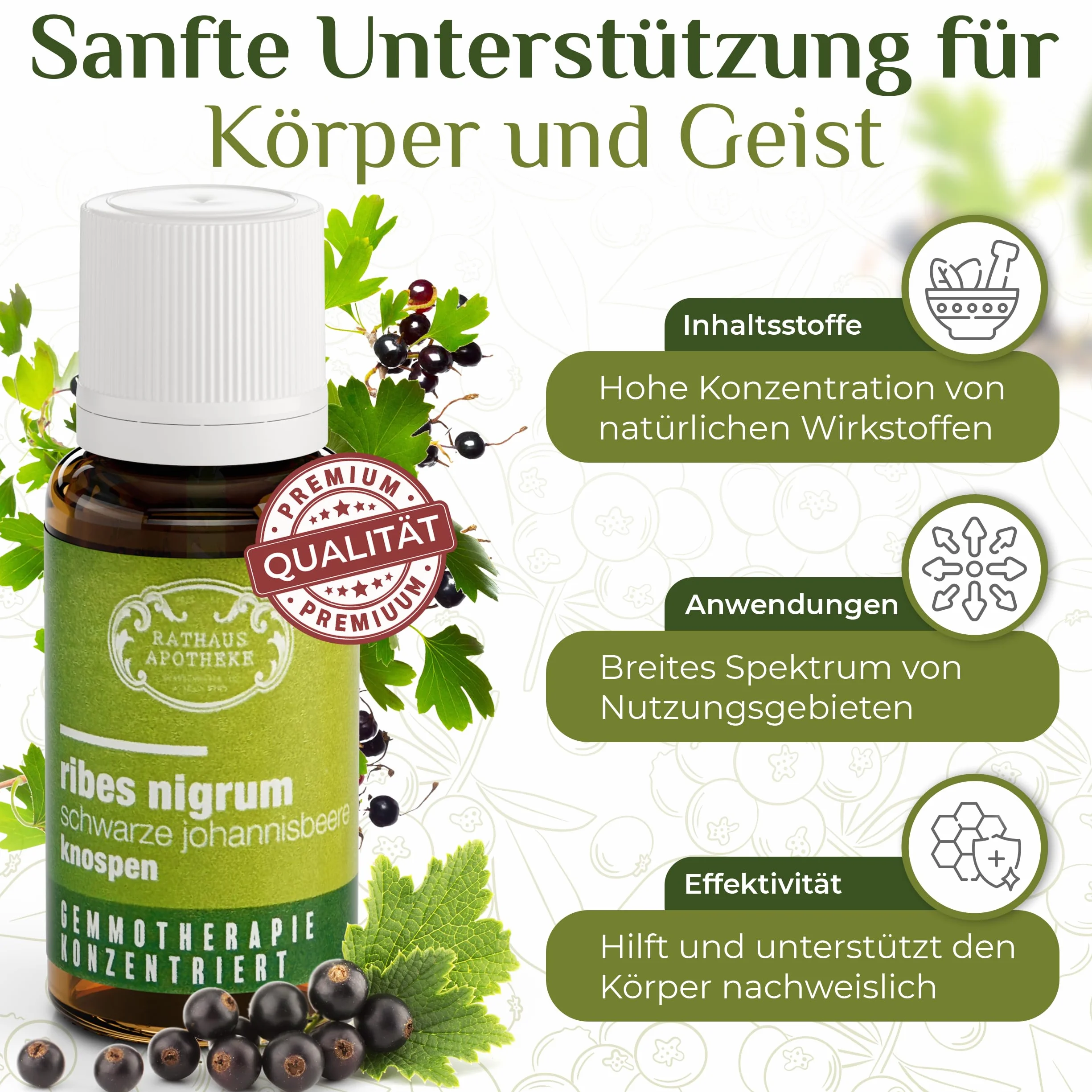 Skoncentrowany ekstrakt z pąków – gemoterapia – Ribes nigrum – czarna porzeczka – alergia, energia, immunoster – 15 ml