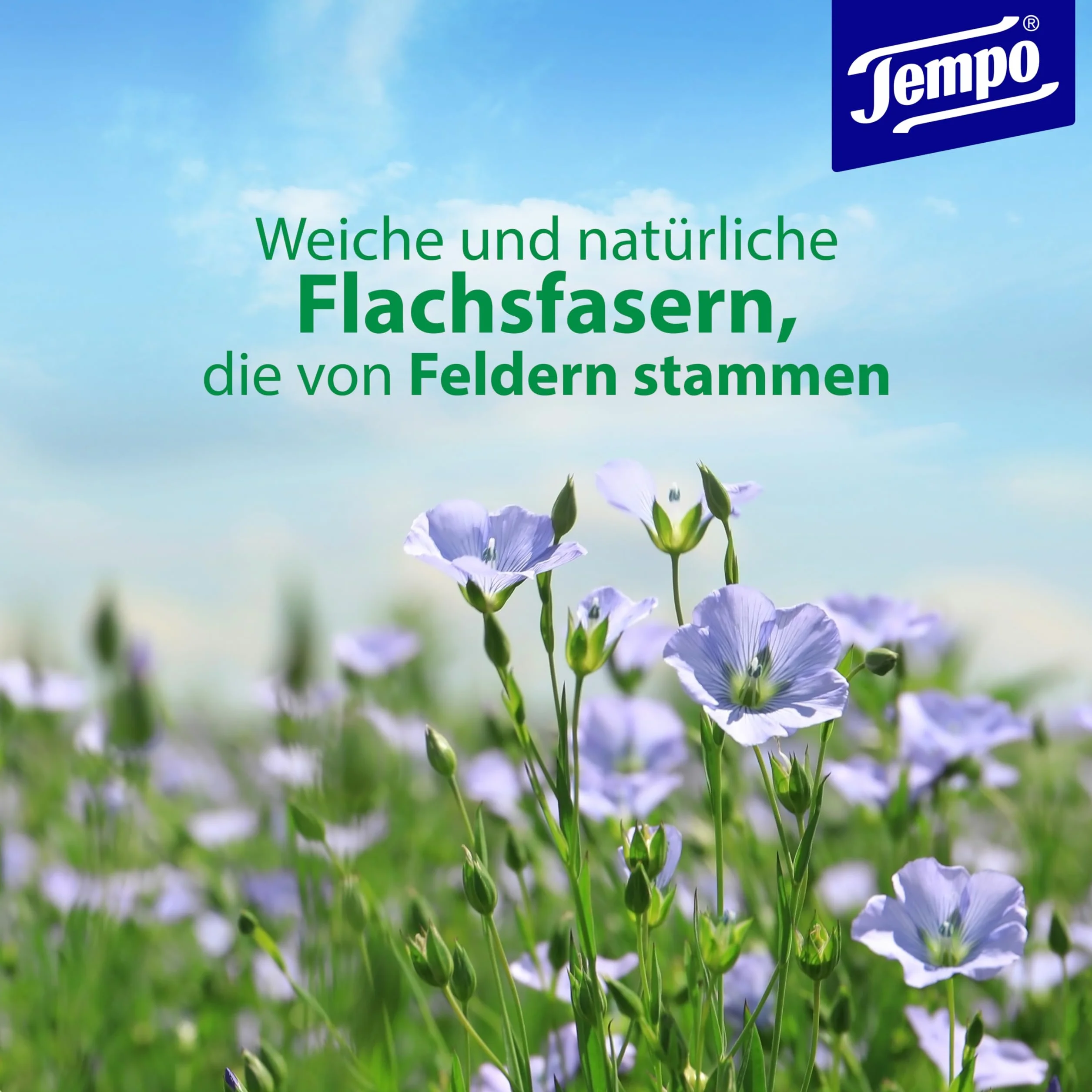 Tempo 836210 Wilgotny Papier Toaletowy, 18 Opakowań, Biały