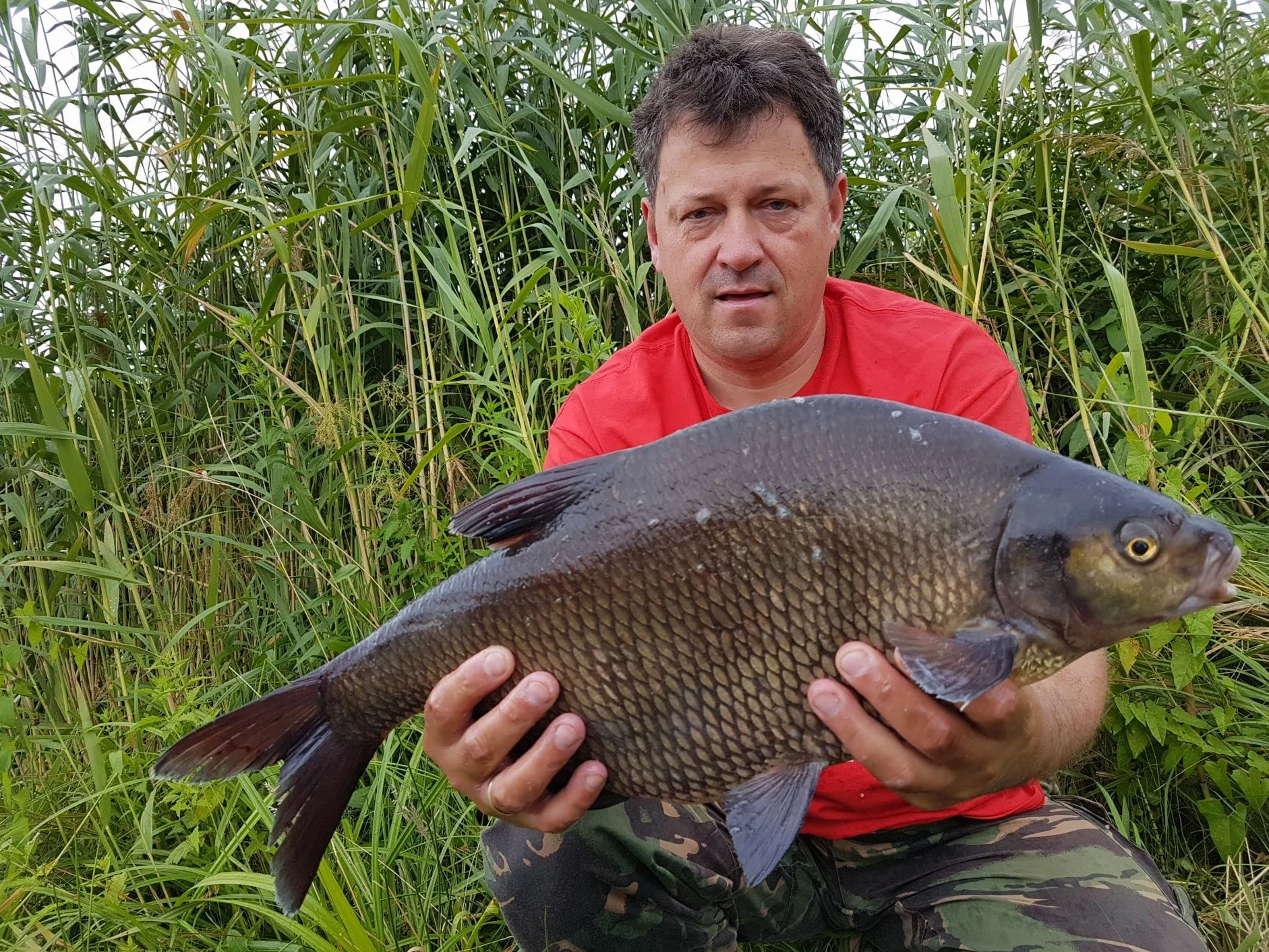 Winner Method/Feeder Fluo Wafters 20g Wędzony Łosoś