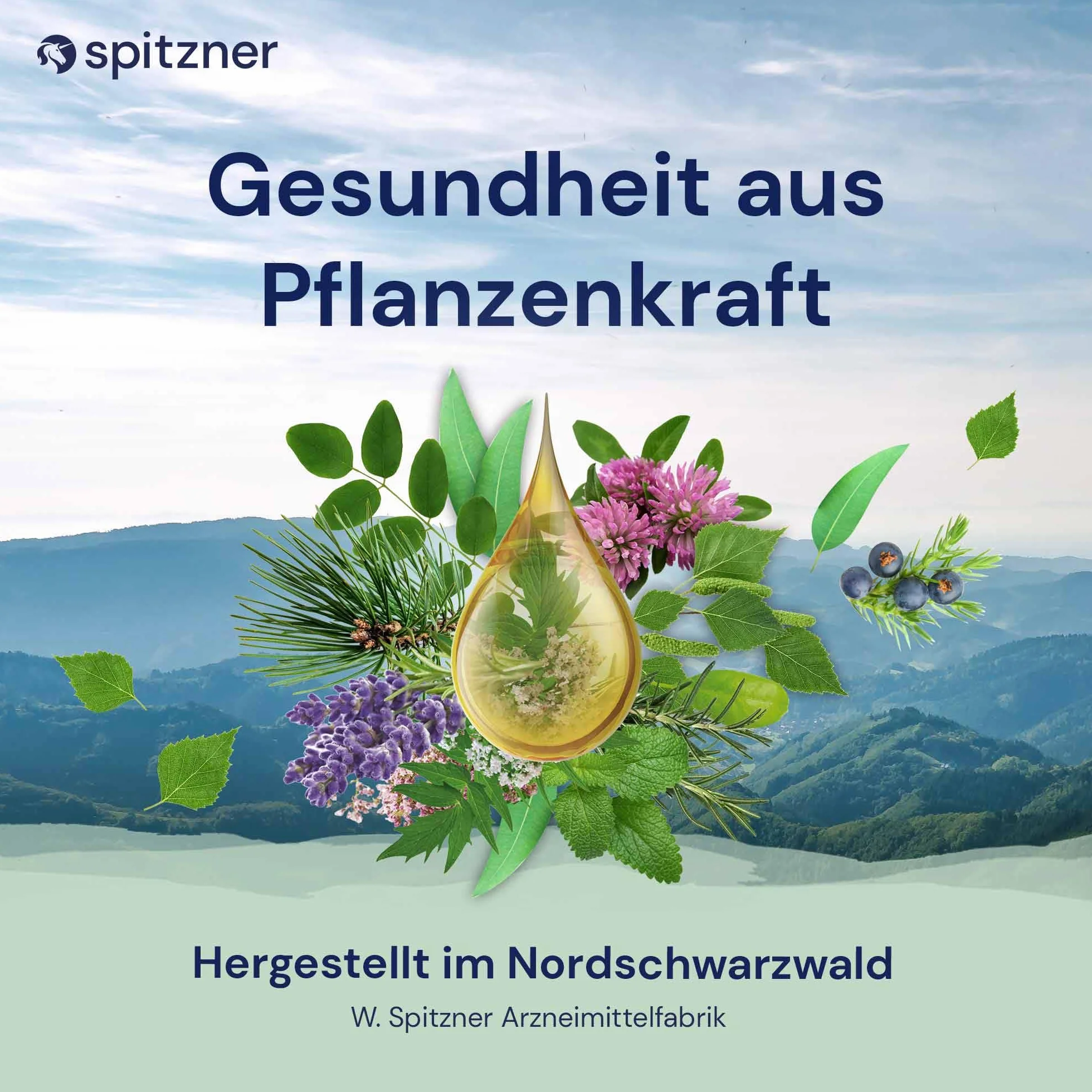 Spitzner Napar do sauny z mięty lodowej, miętowo-chłodny, 1000 ml – naturalny koncentrat do sauny wellness