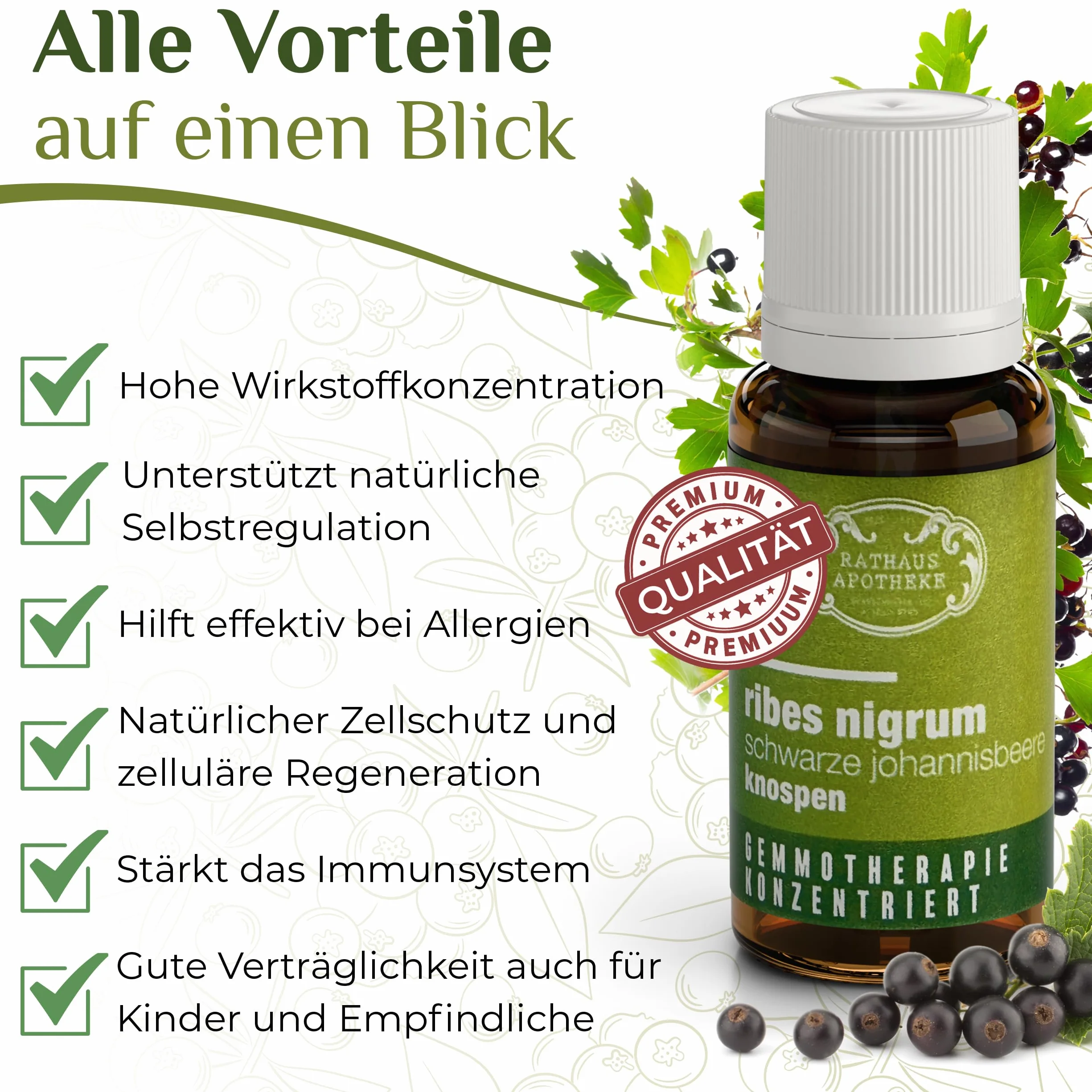 Skoncentrowany ekstrakt z pąków – gemoterapia – Ribes nigrum – czarna porzeczka – alergia, energia, immunoster – 15 ml