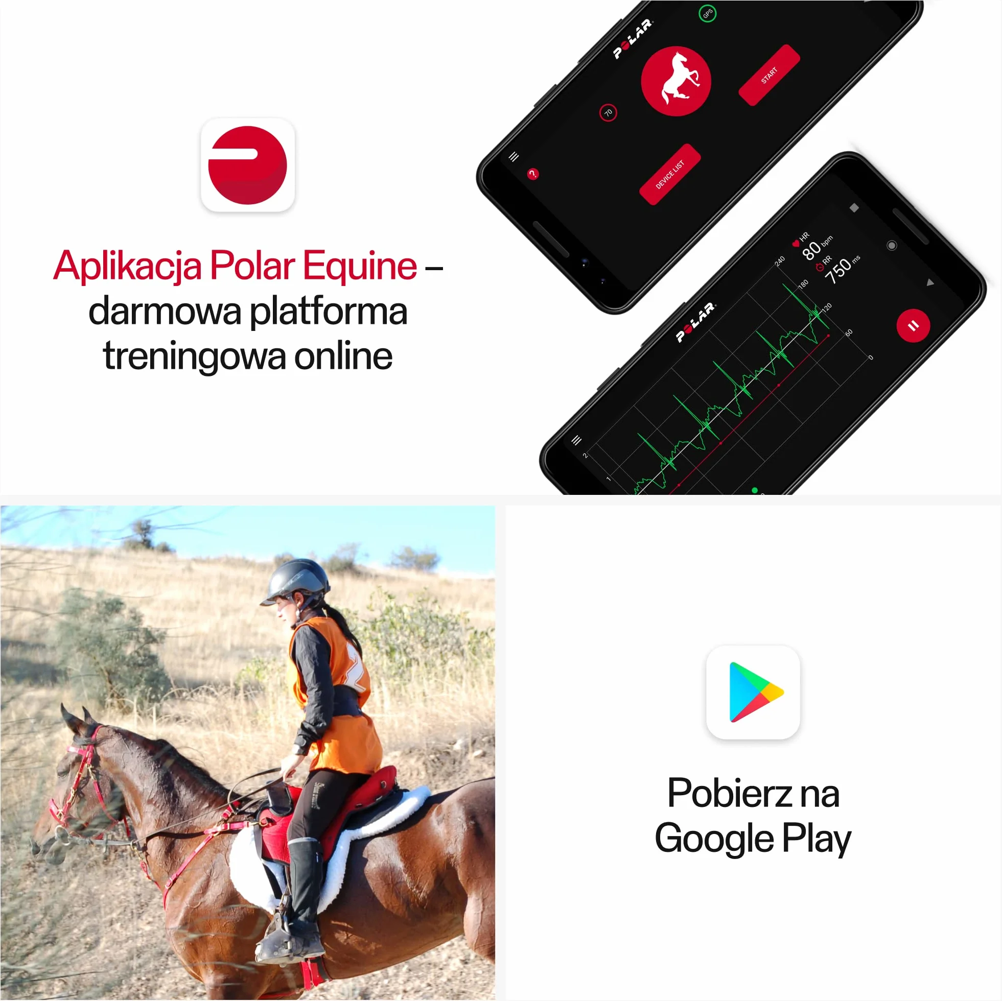 Polar Equine Healthcheck