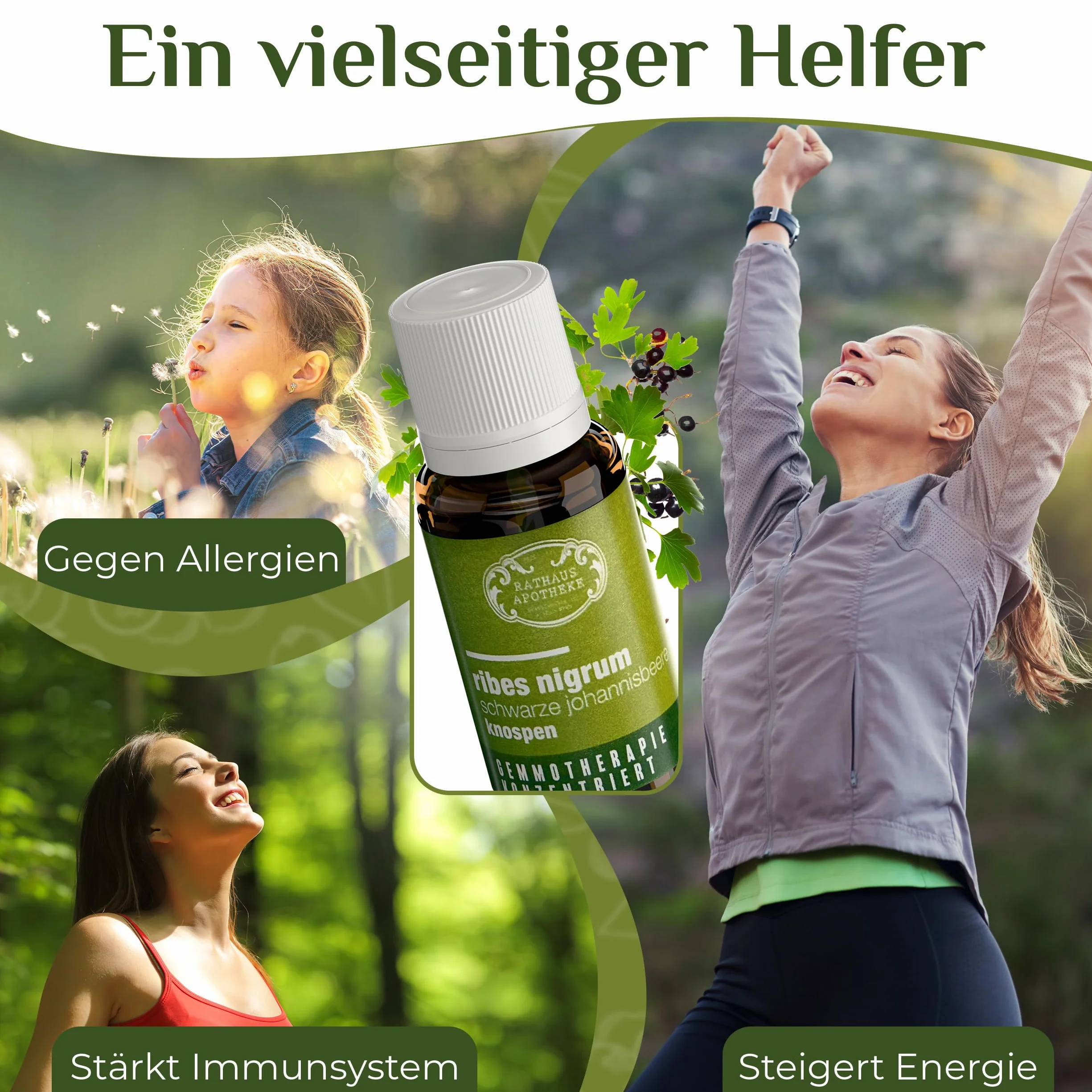 Skoncentrowany ekstrakt z pąków – gemoterapia – Ribes nigrum – czarna porzeczka – alergia, energia, immunoster – 15 ml